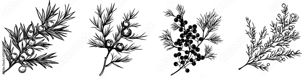 Poster detailed icon set featuring various botanical elements in monochrome style for design projects