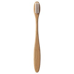 Upright Bamboo Toothbrush Isolated on White