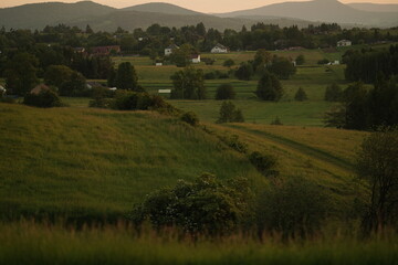 Fototapeta premium landscape with green fields
