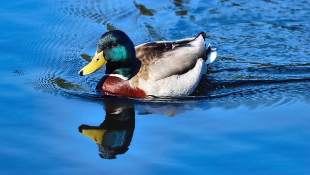 Kristiansand, Norway