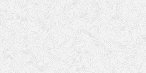 white topographic contour line pattern. Abstract and modern design element, ideal for backgrounds, textures, and minimalist designs white background.