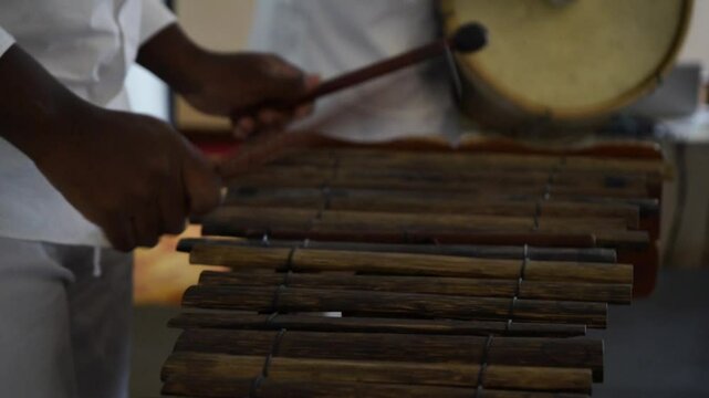Marimba del pac&iacute;fico colombiano