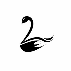 black swan vector illustration