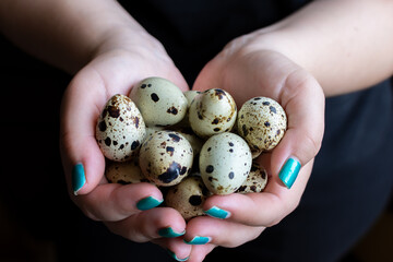 A woman with beautifully painted blue nails is holding a stack of quail eggs