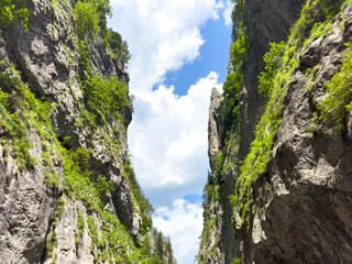 A breathtaking canyon filled with a clear blue sky and fluffy white clouds