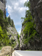 A beautiful road that winds through a canyon, lined with trees on both sides