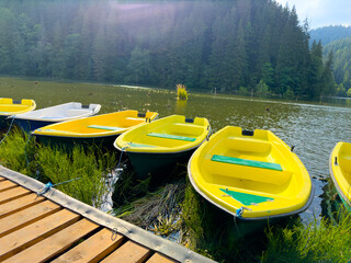 Bright yellow boats float on a serene lake with green trees