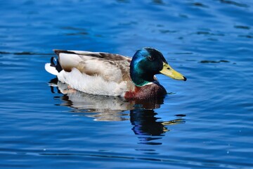 Kristiansand, Norway