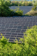 Expansive solar panels spread across vibrant fields merging cutting-edge renewable technology with...