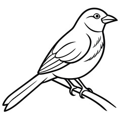 Stylish line art bird vector illustration, perfect for logo design, t-shirt prints, stickers, and various creative projects. Minimal and clean design suitable for nature, wildlife, and animal-themed a