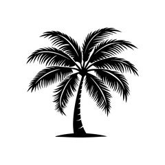palm trees silhouettes