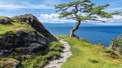 Fototapeta premium Scenic Lakeside Trail with Windswept Tree