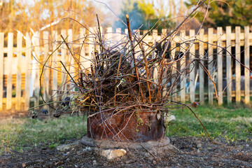 Rusty metal container with burning dry branches and twigs, emitting smoke in garden with wooden fence, backyard cleanup 