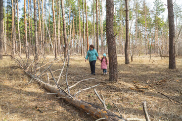 grandmother with granddaughter walking in nature in the forest