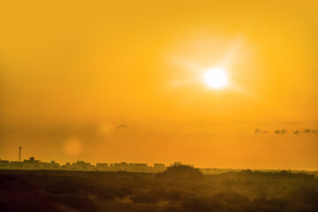 Seaside hummocky vegetated sand dune covered with thickets of capers (probably Capparis spinosa) and Sunset in red sands. The city is on the horizon. Oman