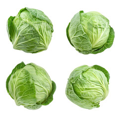 Four head of fresh green cabbage, Four pieces of green cabbage are shown in a row, isolated on...