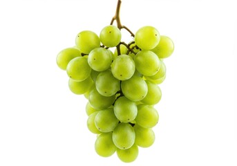 A fresh bunch of green grapes hanging from a stem isolated on a clean white background studio shot