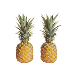 Fototapeta premium Fresh organic two pineapple fruit, Two Ripe Pineapples Tropical Dark Green Leaves, isolated on transparent background
