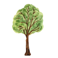Watercolor green tree on white background. Can be used on labels, cards, napkins.