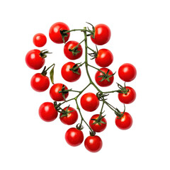 Fresh, red tomato, Branch of fresh cherry tomatoes, isolated on transparent background