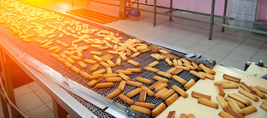 Cookie production line at a confectionery factory showcasing freshly baked treats moving along a conveyor belt during daytime operations