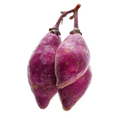 Fresh sweet potatoes, Sweet potatoes harvesting in the field fresh produce nature, isolated on...