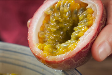 Close-up of a hand holding a freshly opened passion fruit, revealing its juicy golden pulp and...