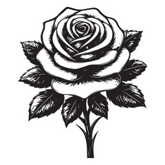 Black and white vintage rose floral seamless pattern
