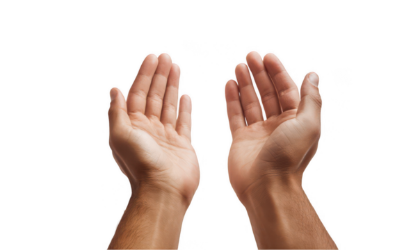 hands reaching or clapping, isolated on a white background, png, transparent