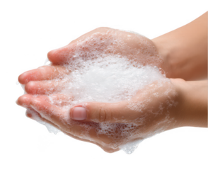 hands washing with soap, isolated on a white background, png, transparent