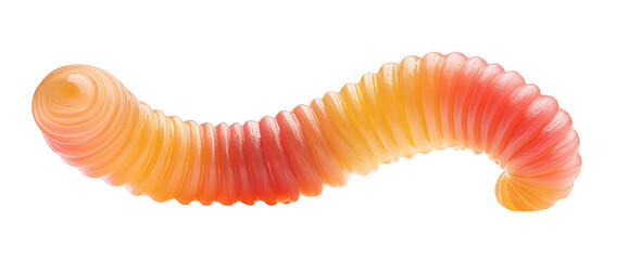 Gummy worm isolated on a white background, png, transparent
