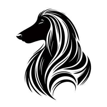 Afghan hound dog side view vector. Diversity of breeds, pet and friend for human. Vet clinic professional services, grooming salon and dog food decoration