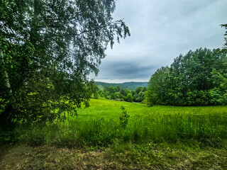 Nature Harmony Living Landscapes nature