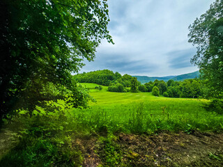 Fototapeta premium Nature Harmony Living Landscapes nature