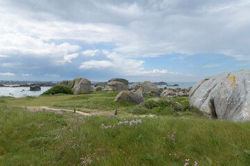 Sentier côtier GR34 et joli paysage de mer à Kerlouan-Ménéham - Finistère Bretagne