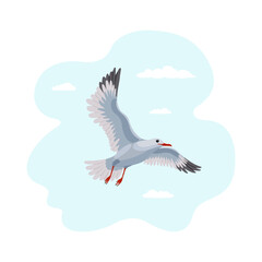 Fototapeta premium Seagull flying freely in the sky. Vector illustration