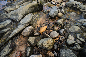 Wet rocks and stones on the edge of a beach. Preserved environment.