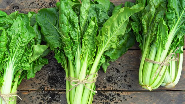 Fresh Bundles of Swiss Chard Harvested and Placed on Rustic Table