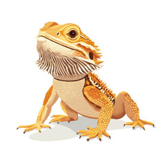 Bearded Dragon, 2D isometric flat cartoon vector illustration isolated on white background.