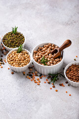 Beans, lentils, soybean, pea and chickpea