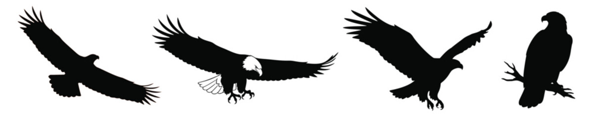 Silhouette vector set of eagles in various flying and perched poses perfect for wildlife designs, tattoos, logos, and educational illustrations