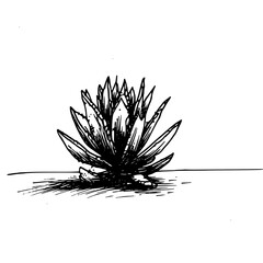 Vintage Botanical Illustration of plants in Black Ink &ndash; Hand-Drawn Floral Sketch for Botanical Books, Packaging, Tattoo Design, Nature Decor, and Vintage Garden-Themed Projects