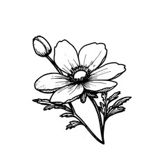 Vintage Botanical Illustration of plants in Black Ink – Hand-Drawn Floral Sketch for Botanical Books, Packaging, Tattoo Design, Nature Decor, and Vintage Garden-Themed Projects