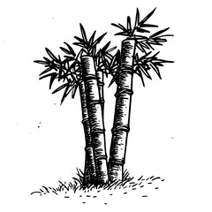 Vintage Botanical Illustration of plants in Black Ink – Hand-Drawn Floral Sketch for Botanical Books, Packaging, Tattoo Design, Nature Decor, and Vintage Garden-Themed Projects