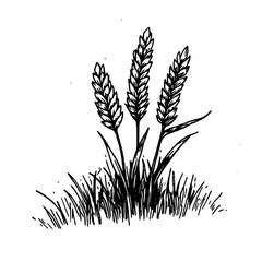 Vintage Botanical Illustration of plants in Black Ink – Hand-Drawn Floral Sketch for Botanical Books, Packaging, Tattoo Design, Nature Decor, and Vintage Garden-Themed Projects