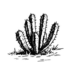 Vintage Botanical Illustration of plants in Black Ink – Hand-Drawn Floral Sketch for Botanical Books, Packaging, Tattoo Design, Nature Decor, and Vintage Garden-Themed Projects