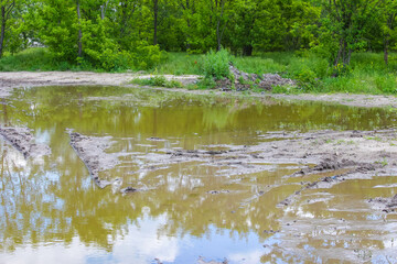 Muddy water pond reflecting sky with green vegetation along banks in natural wetland