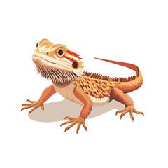 Bearded Dragon, 2D isometric flat cartoon vector illustration isolated on white background.