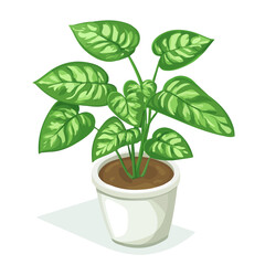 Arrowhead Plant, cartoon vector illustration, flat 2D isometric style, white background.