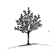 Obraz premium Vintage Botanical Illustration of plants in Black Ink – Hand-Drawn Floral Sketch for Botanical Books, Packaging, Tattoo Design, Nature Decor, and Vintage Garden-Themed Projects